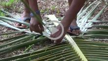 Coconut Palm Leaf Craft - Loutolim, Goa 